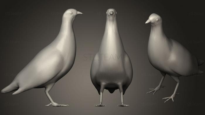 3D model Grey Partridge (STL)